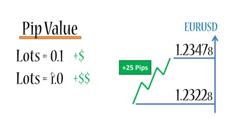 Apa Itu Pips dalam Forex Pahamilah Konsep Dasar - Bionet